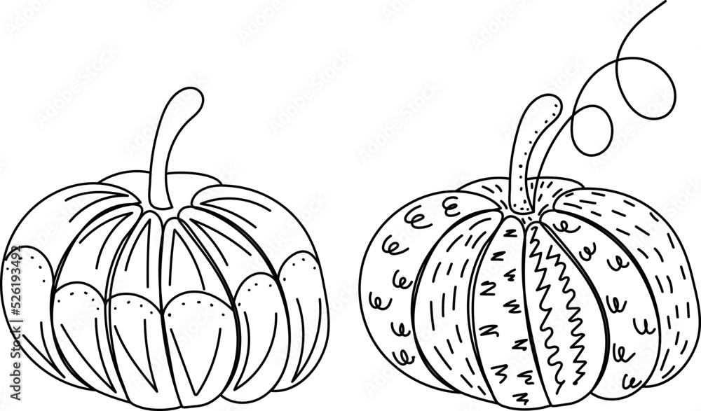 pumpkins in doodle style, sketch isolated, vector pumpkins in doodle style, sketch isolated, vector