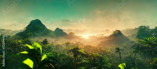 Panorama jungles. An aerial panorama view of tropical rainforest in morning misty,