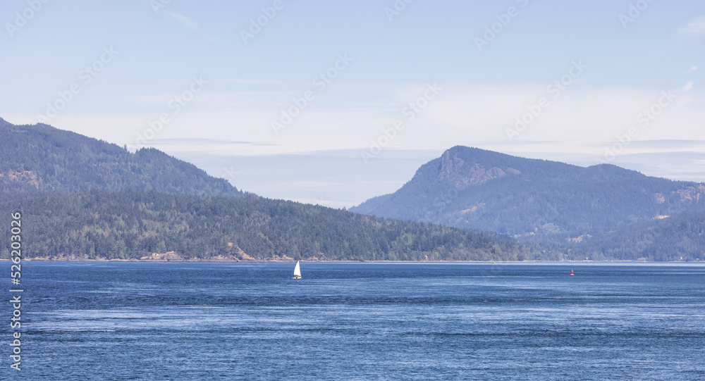 Canadian Landscape by the ocean and mountains. Summer Season. Gulf Islands near Vancouver Island, British Columbia, Canada. Canadian Landscape.