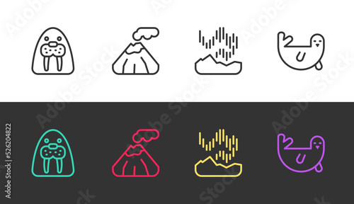 Set line Walrus animal, Volcano, Northern lights and Fur seal on black and white. Vector