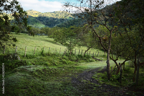 A walking path in the Andes Mountains in rural Colombia on a cloudy day.