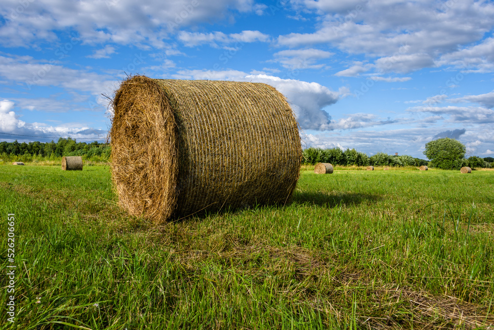 Close-up of a round bale of hay in a small meadow surrounded by deciduous trees in direct evening sunlight under a blue sky with clouds.