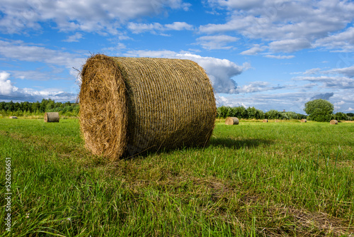 Close-up of a round bale of hay in a small meadow surrounded by deciduous trees in direct evening sunlight under a blue sky with clouds.