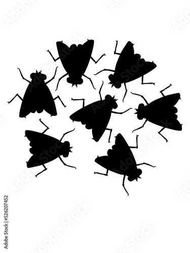 Hausfliegen Gruppe Team Silhouette 
