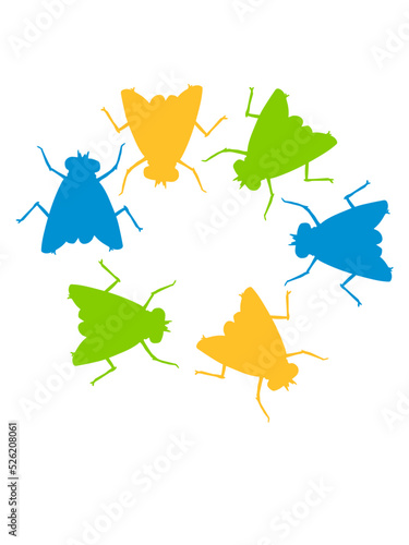 Bunte Hausfliegen Gruppe Team 