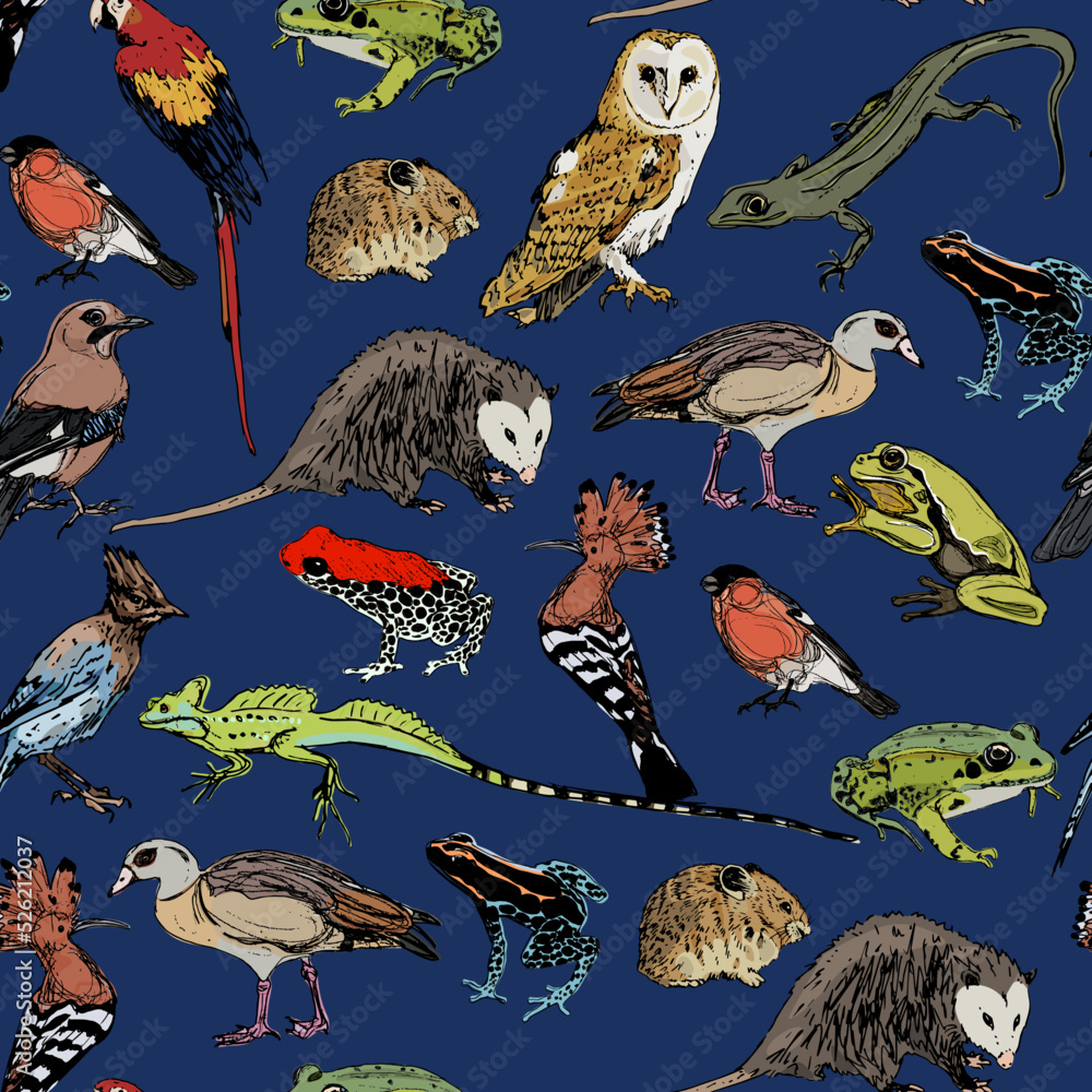 Seamless pattern with wild animals and birds. Hand drawn colorful sketches on blue background. Stock Vector | Adobe Stock Seamless pattern with wild animals and birds. Hand drawn colorful sketches on blue background. Stock Vector | Adobe Stock