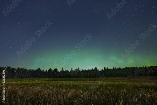aurora borealis on the night of August 19-20 near the city of Winnipeg