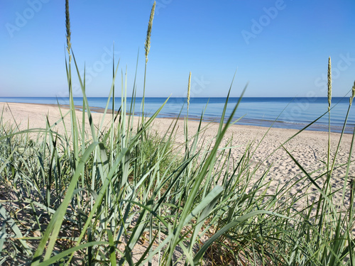 Fototapeta Naklejka Na Ścianę i Meble -  Beach at the Baltic Sea. Coastal scenery with sandy beach, dunes with grass 