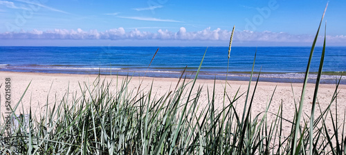 Beach at the Baltic Sea. Coastal scenery with sandy beach, dunes with grass  photo