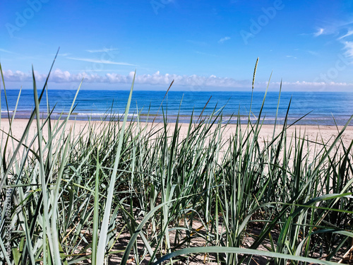 Beach at the Baltic Sea. Coastal scenery with sandy beach, dunes with grass 