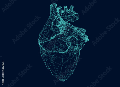 Human heart, x-ray hologram. 3D rendering