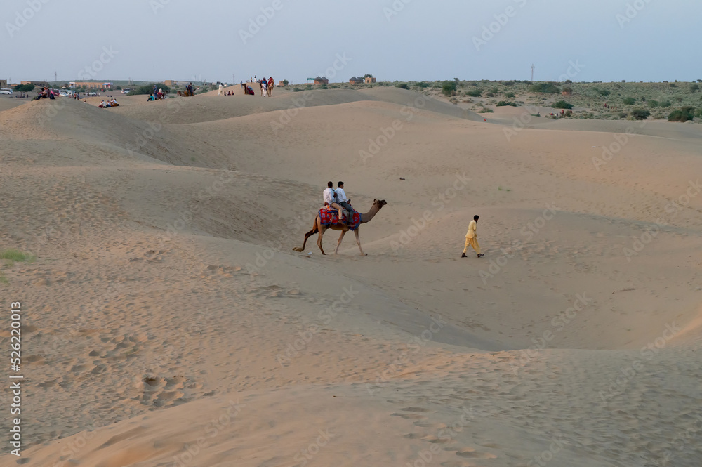 Tourists riding camels, Camelus dromedarius, at sand dunes of Thar desert, Rajasthan, India. Camel riding is a favourite activity amongst all tourists visiting here.