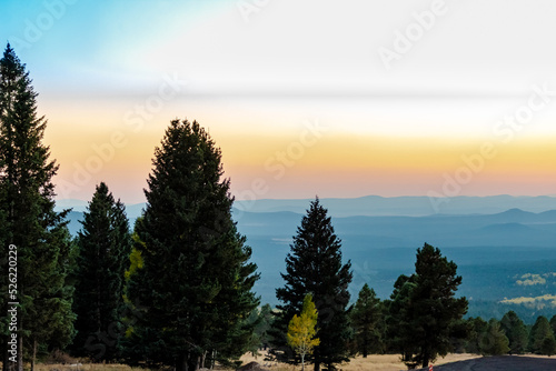 Fototapeta Naklejka Na Ścianę i Meble -  Pine trees silhouette and golden mountain rolling hills sunset view from top of Humphreys peak