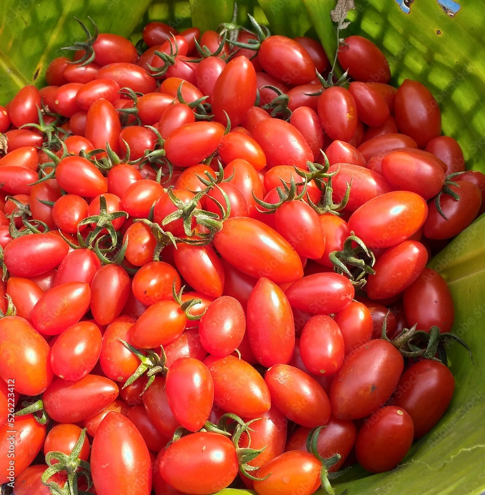 tomatoes on banana leaf. tomatoes on banana leaf.