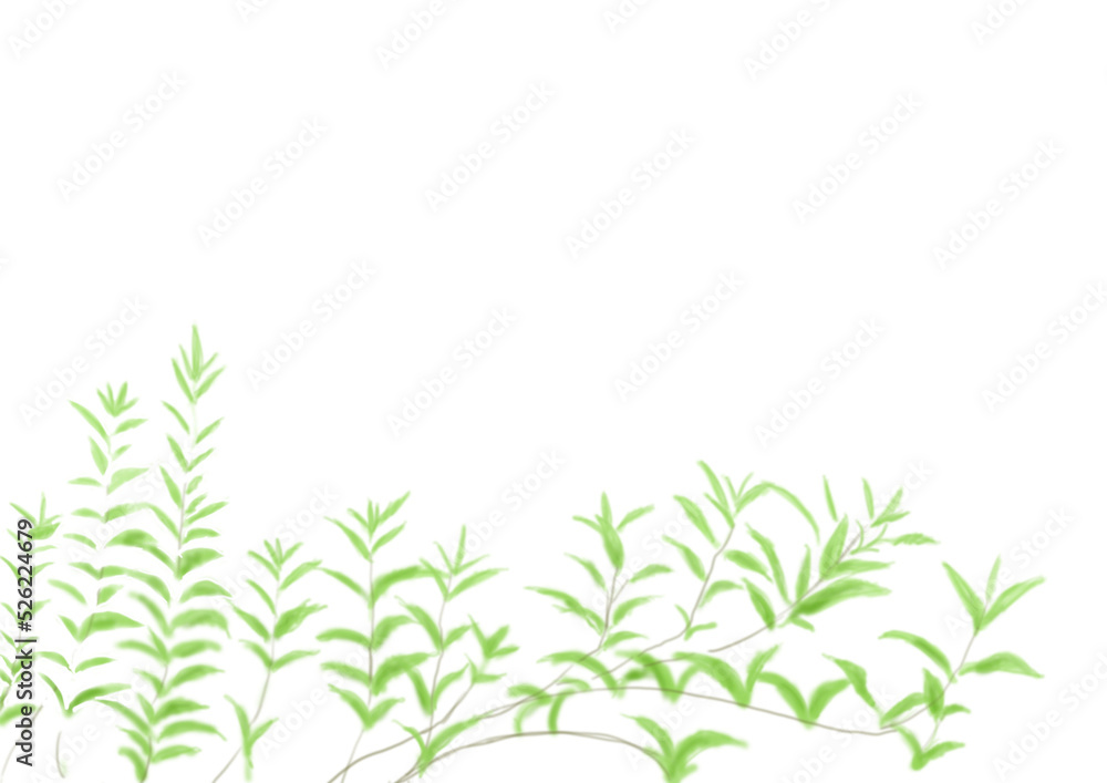 若草の枝葉 若草の枝葉
