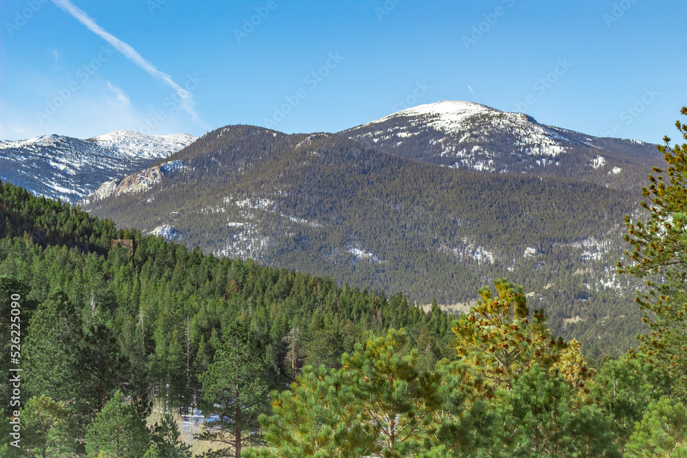 Snow and pine trees alpine forest valley leading up to Rocky Mountain National Park in Colorado