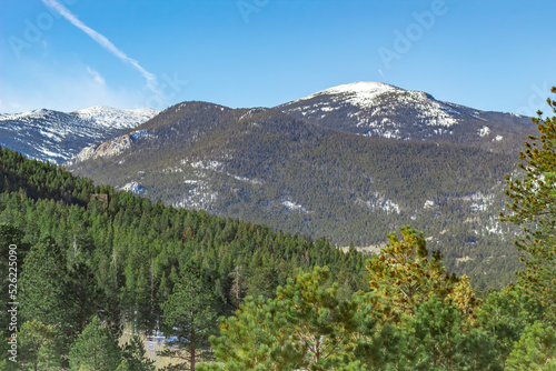 Snow and pine trees alpine forest valley leading up to Rocky Mountain National Park in Colorado