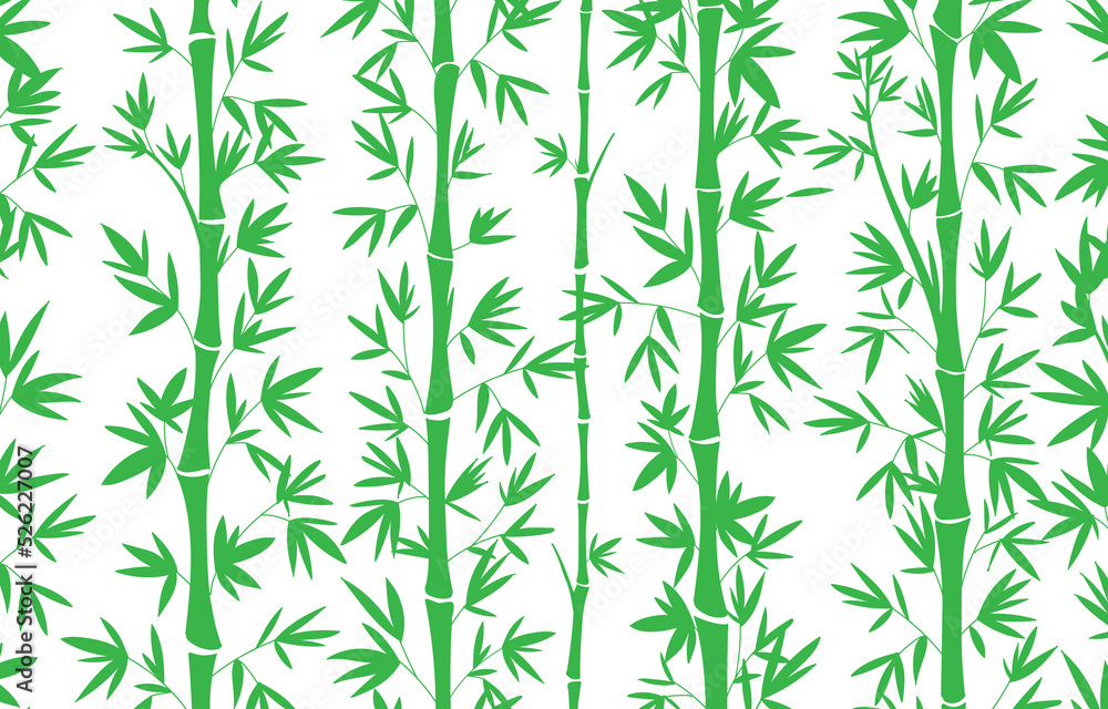 Fototapeta premium bamboo background patter photo