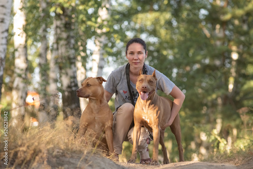 Girl cynologist trains an American pit bull terrier in the park.