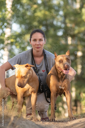 Girl cynologist trains an American pit bull terrier in the park. © shymar27