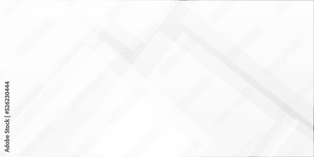 Fototapeta premium Abstract background with lines White and gray background. abstract white and gray background with lines white light & grey background. Space design concept. 