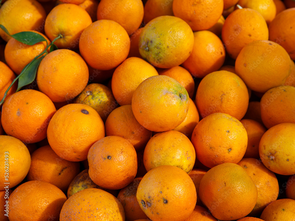 group of fresh organic tangerin orange in the local market. Full frame fruit background. Top view copy space close up