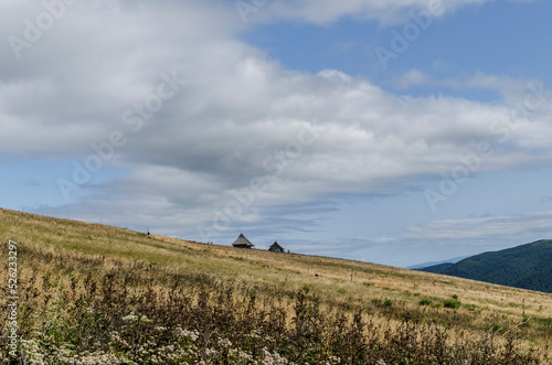 Fototapeta Naklejka Na Ścianę i Meble -  Bieszczady połonina Wetlińska 