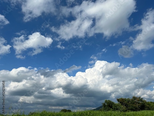 field and blue sky