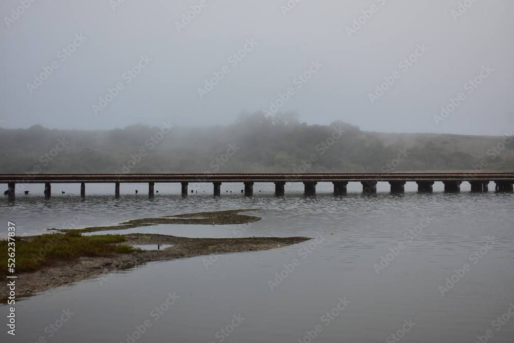 Fototapeta premium bridge in the fog