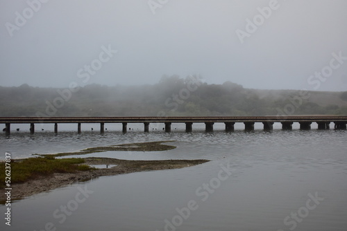 bridge in the fog © Michael