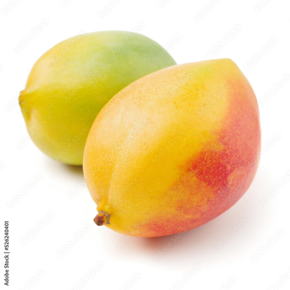 mangos on a white background