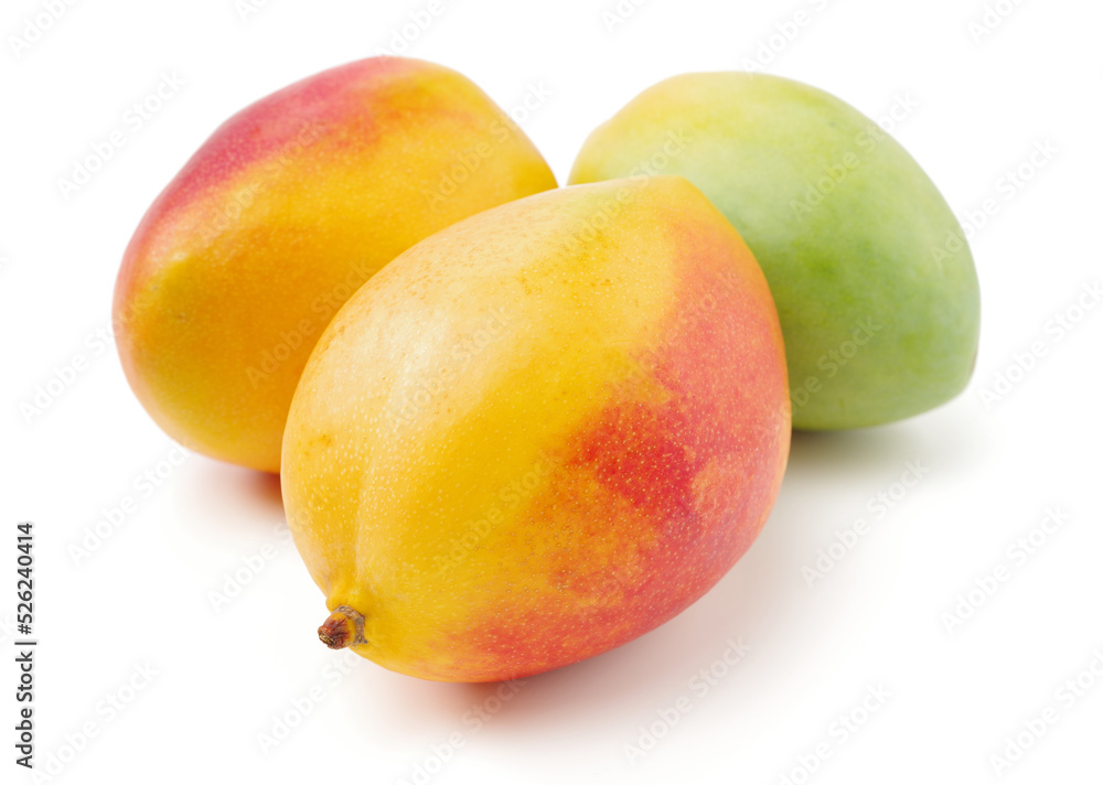 mangos on a white background