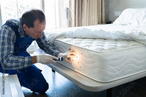 Bed Bug Infestation And Treatment Service