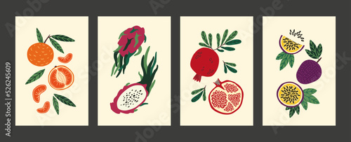 Abstract fruit poster. Modern food, vintage hand drawn print and wall art, summer or autumn harvest, minimalist tropical plants. Dragonfruit and pomegranate. Vector cartoon background