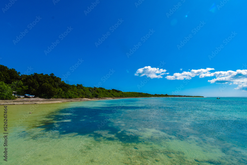 Tropical island beach/coast line with beautiful ocean. Blue clear ocean with corals with blue sky, Ishigaki, Okinawa, Japan 