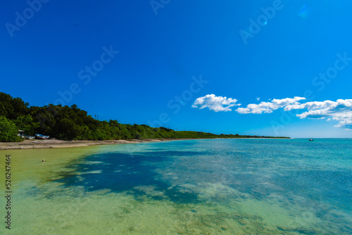 Tropical island beach/coast line with beautiful ocean. Blue clear ocean with corals with blue sky, Ishigaki, Okinawa, Japan 