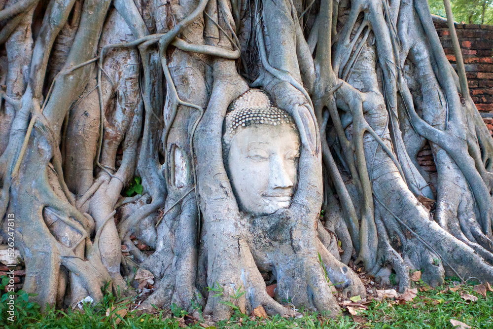 The Wat Mahathat Temple of the Great Relic is a Buddhist temple in Ayutthaya, central Thailand. The Wat Mahathat Temple of the Great Relic is a Buddhist temple in Ayutthaya, central Thailand.