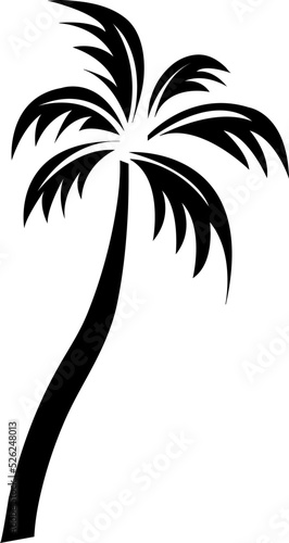 Palm trees isolated on white background. Beautiful vectror palma tree on white background