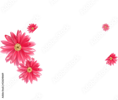 lettering postcard with pink flowers