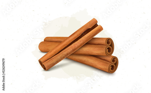 Vector illustration of Cinnamon Sticks species isolated on white background