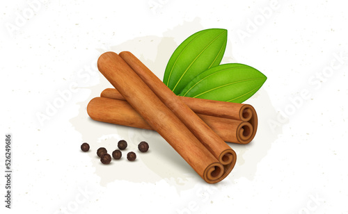 Cinnamon Sticks vector illustration with green leaves and black pepper photo