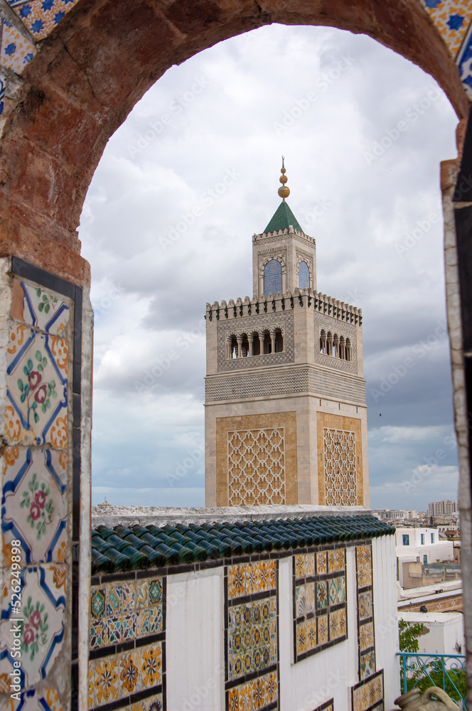 Rooftop views in medina, Tunis, Tunisia