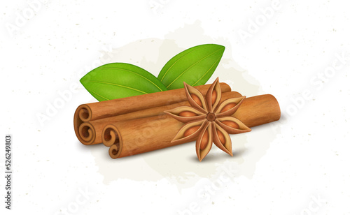 Cinnamon sticks vector illustration with green leaves and flower