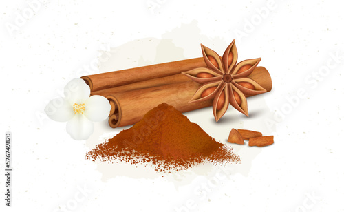 Cinnamon Sticks vector illustration with cinnamon flower and powder