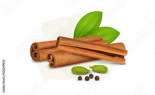 Cinnamon Sticks vector illustration with cardamom and black pepper seeds