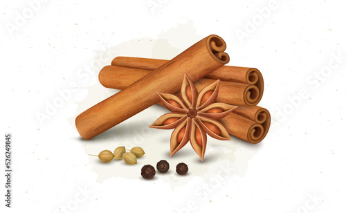 Cinnamon sticks vector illustration with cinnamon flower and black pepper seeds