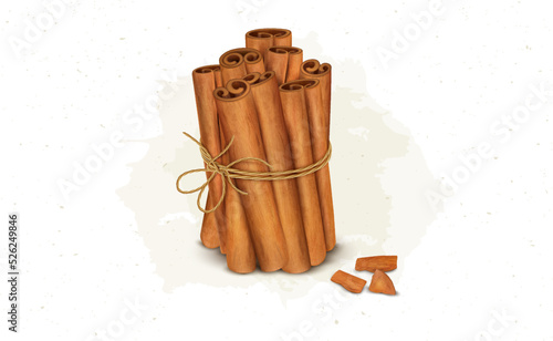 Cinnamon Sticks bundle vector illustration