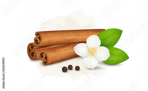 Cinnamon Sticks and flower vector illustration with black pepper seeds