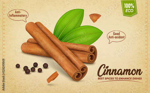 Cinnamon Sticks vector illustration with green leaves on brown background