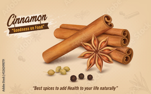 Cinnamon Sticks vector illustration with cinnamon flower and black pepper seeds